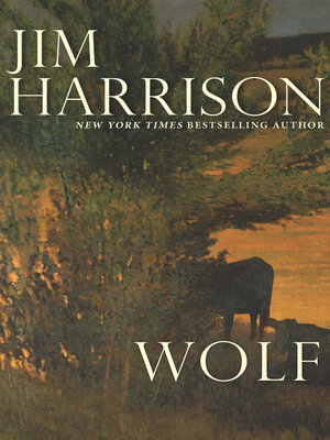 Wolf - ebook